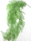 Preview: Pfennigblatt-Haenger ca. 80cm gruen