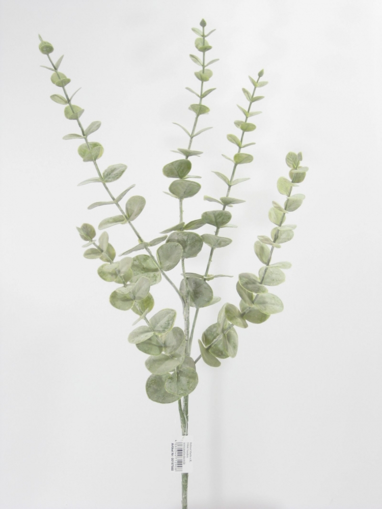 Eucalyptus-Zweig 5-fach gruen-puder ca. 70cm HA4XYD1596BGR1