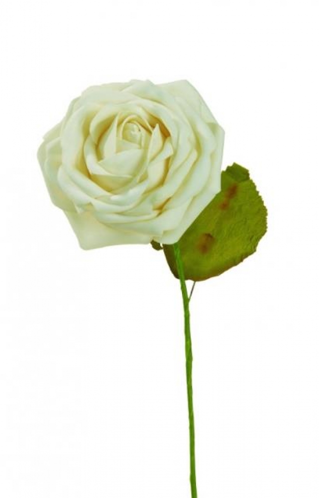 Schaum-Rose DM ca. 10cm creme
