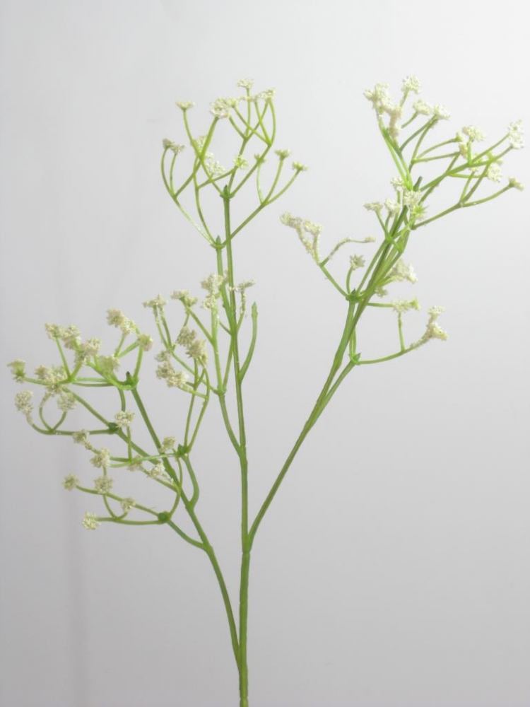 Schleierkraut-Zweig creme ca. 55cm PS033187