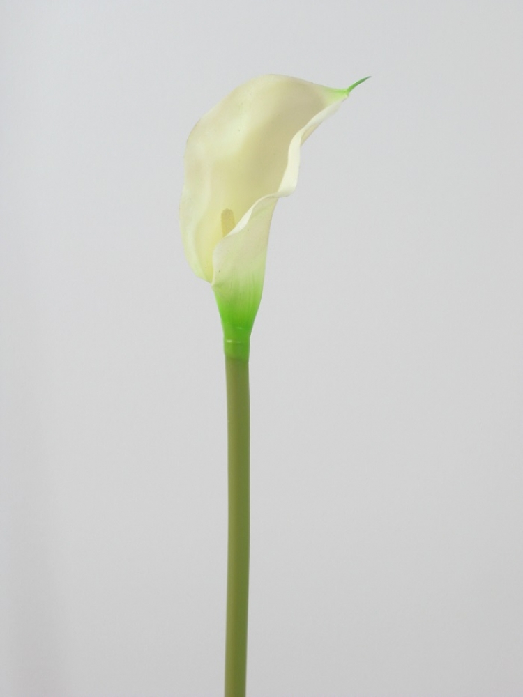 Calla 45cm creme-weiss 113710-12