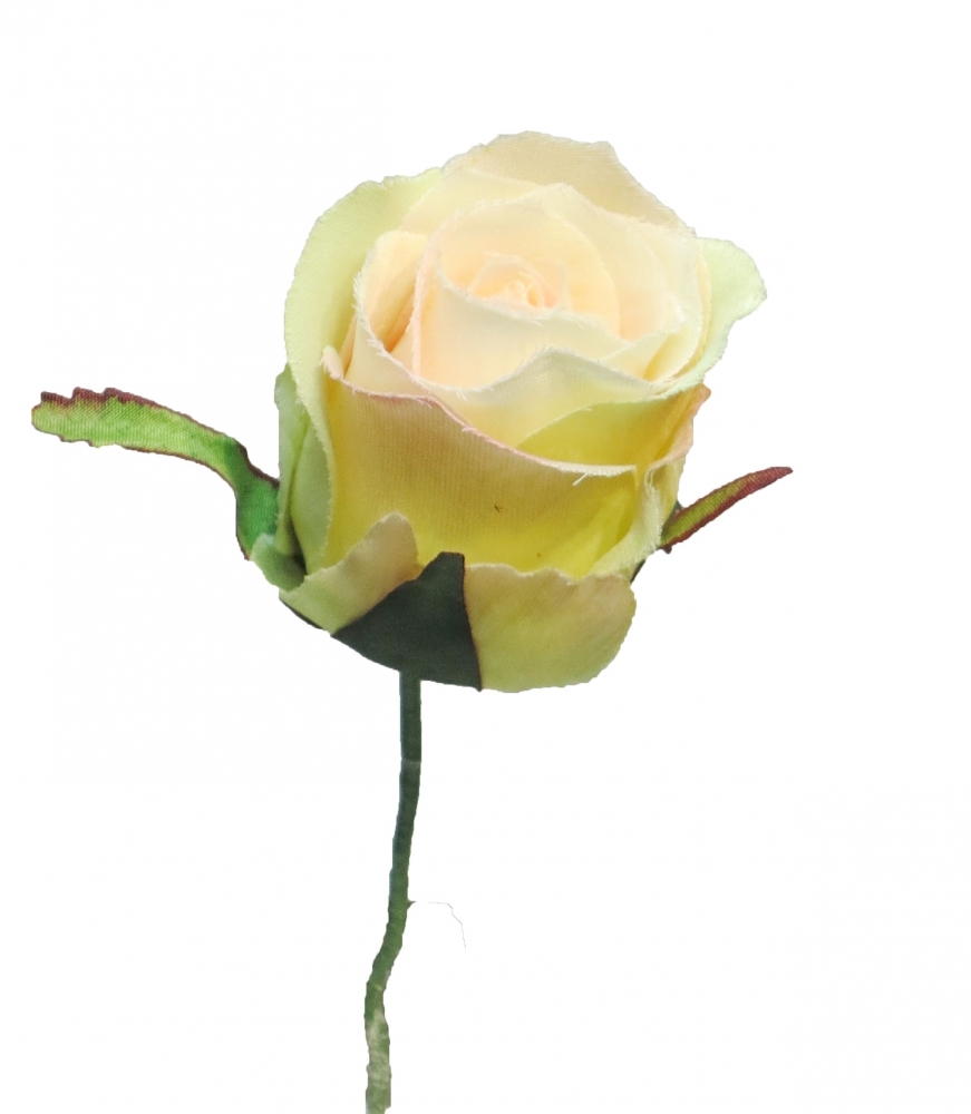 Rosenkopf-Pick 17cm champanger 11966-2