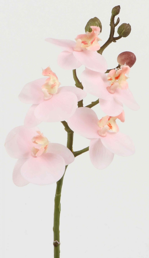 Orchideenzweig L34cm mehrtonrosa 120079-24