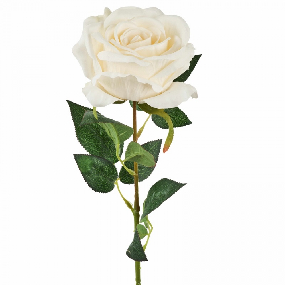 Rose L65cm creme-weiss 120653-12