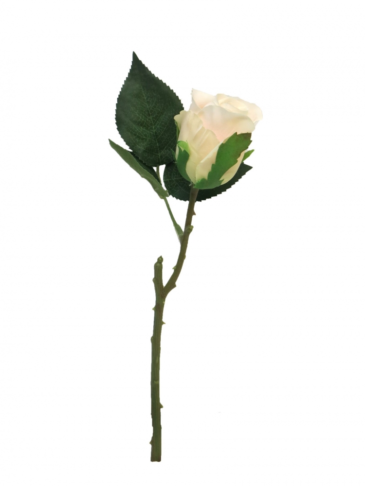 Rose Vichy champagner 28cm 12524-0