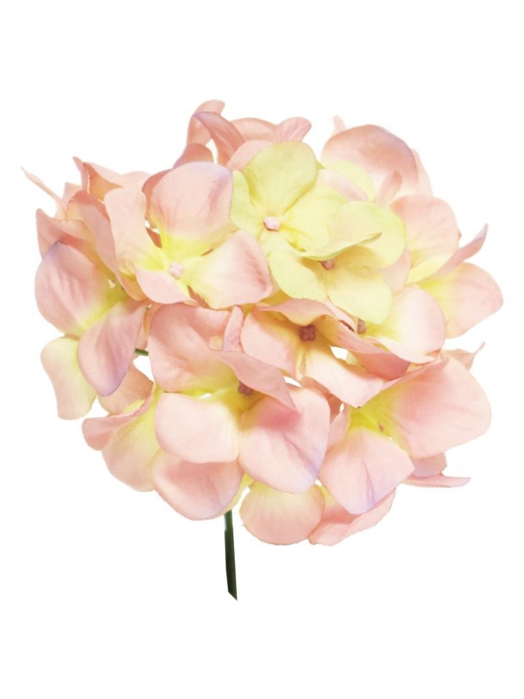 Hortensien-Pick 20cm Verenia pink 12944-7