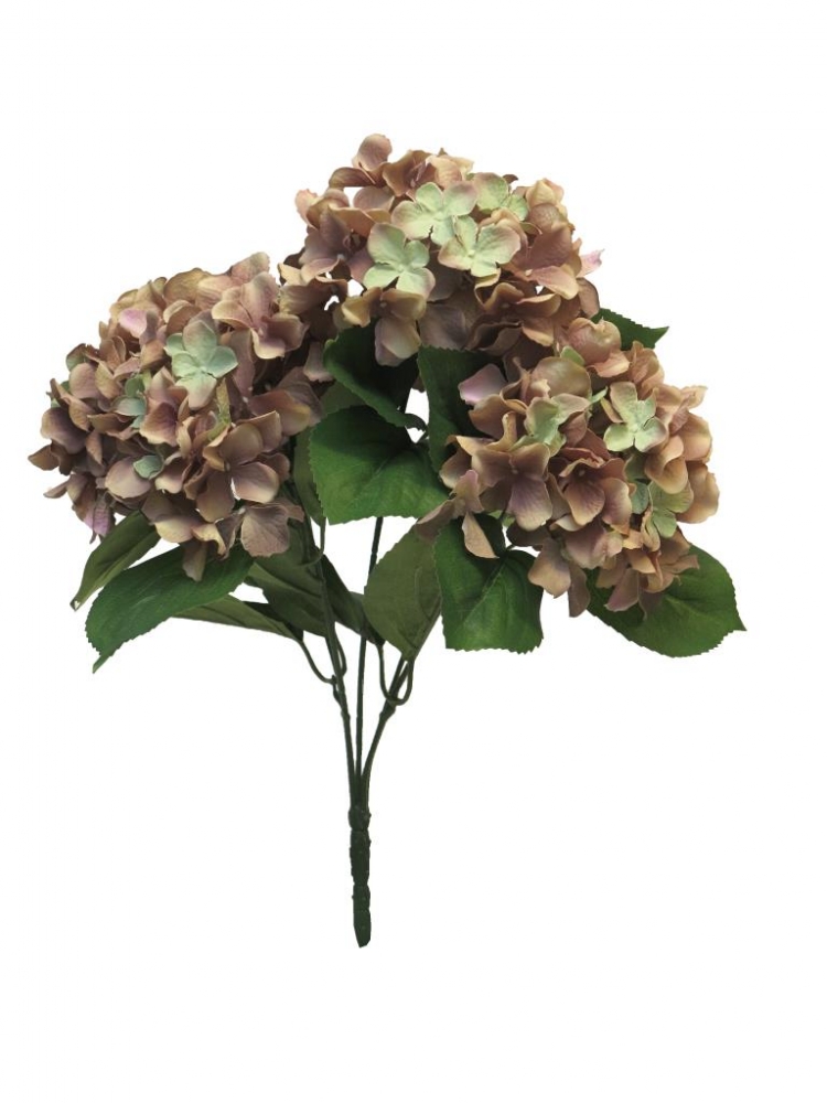 Hortensie Rabe x5 45cm braun 20431-8