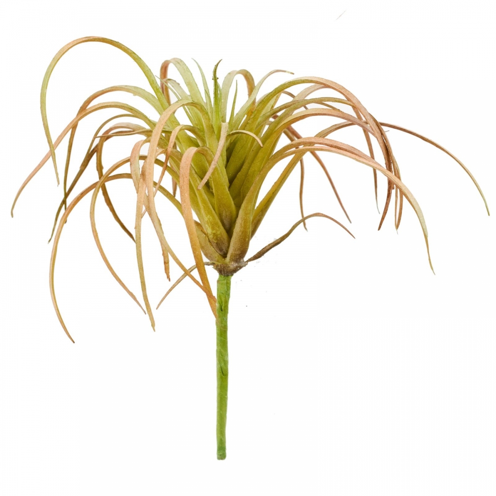 Tillandsienpick L13cm D13cm rot/gruen 238127-81