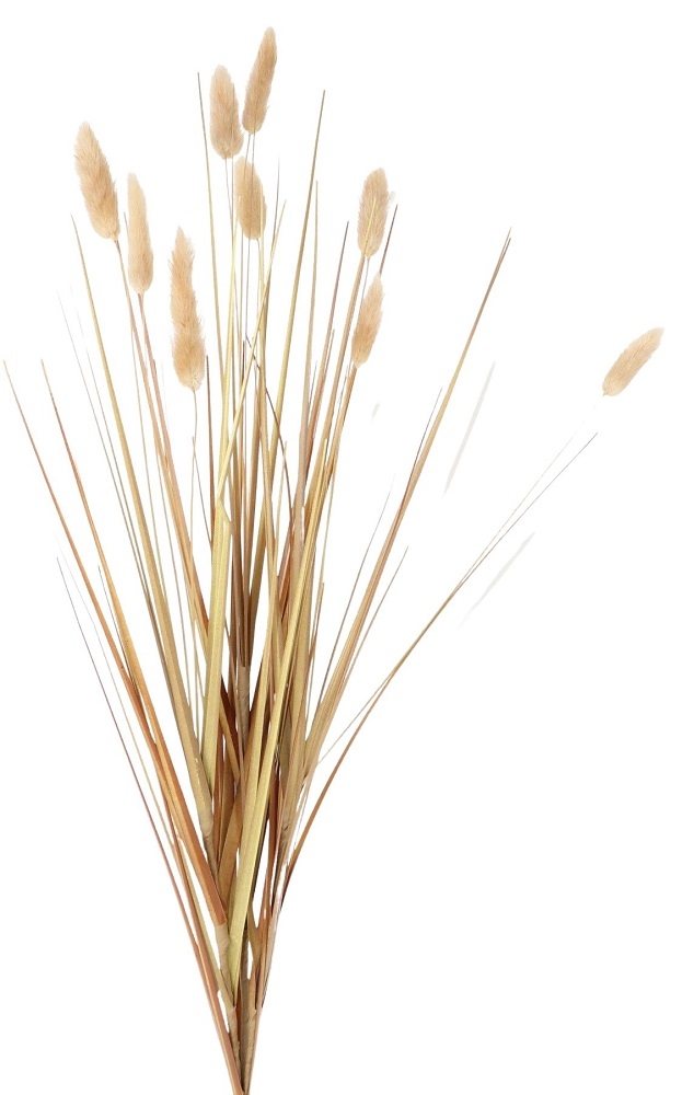 Gras-Zweig Lagurus L70cm beige 270077-15