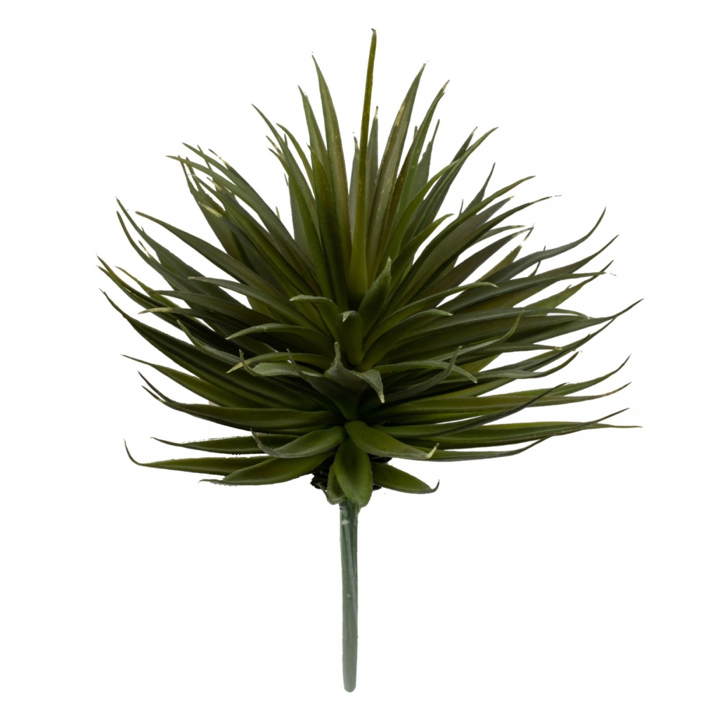 Agave L29cm D13cm gruen 280102-42