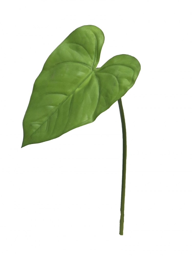 Calla-Blatt mtl. gruen 45cm 30848-1