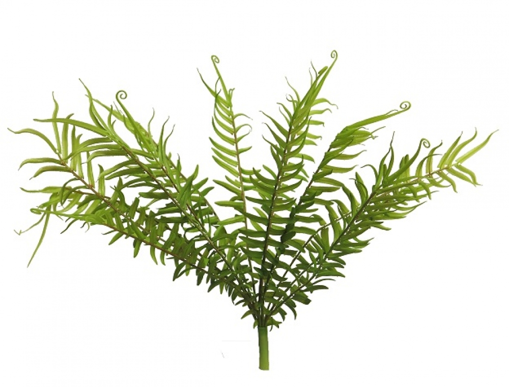 Wildfarn Busch x13 gruen 40cm 31846-1