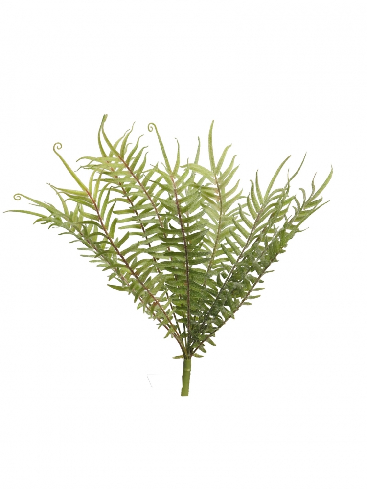 Wild Farn Busch geflockt x13 creme 40cm 31850-0