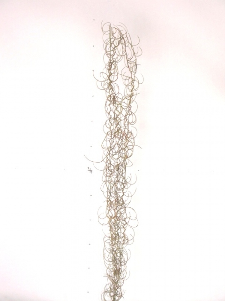 Curly-Girlande braun 103cm 40175-9