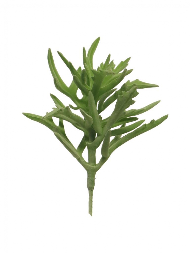 Succulente Rhoda Pick gruen 17cm 40306-7