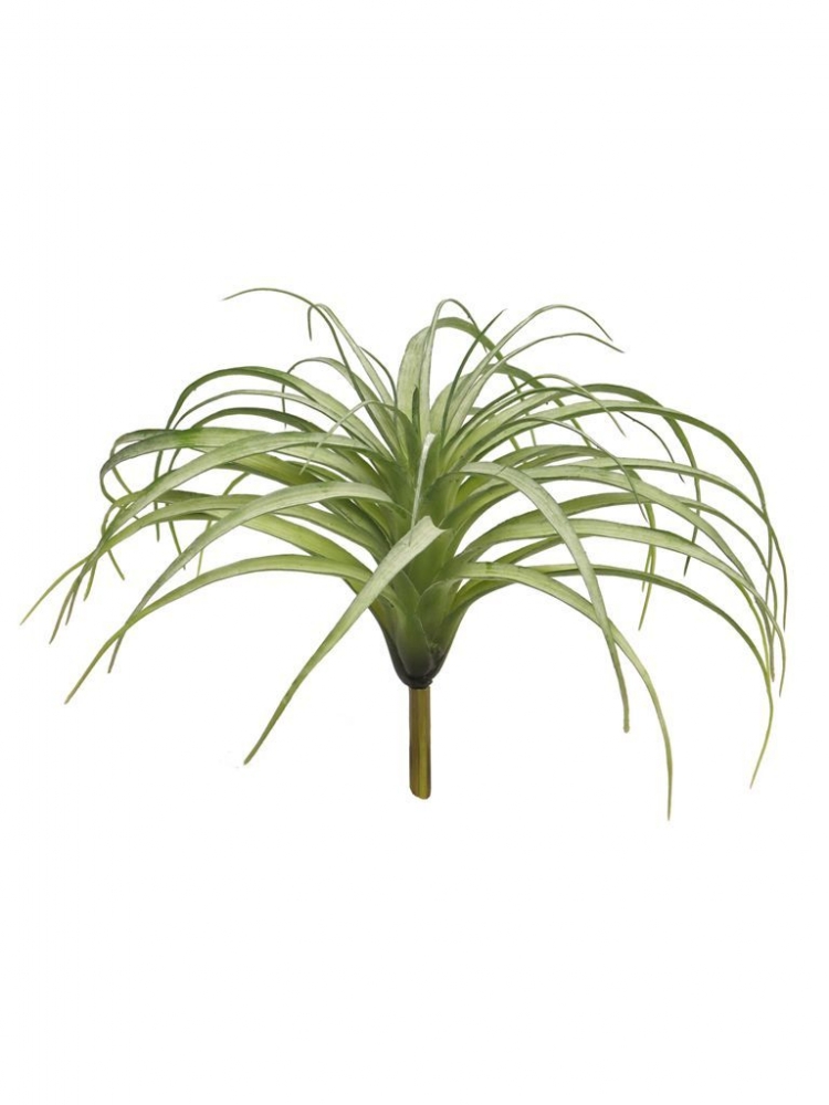 Tillandsia Hutan gruen-grau ca. 26cm 51546-1