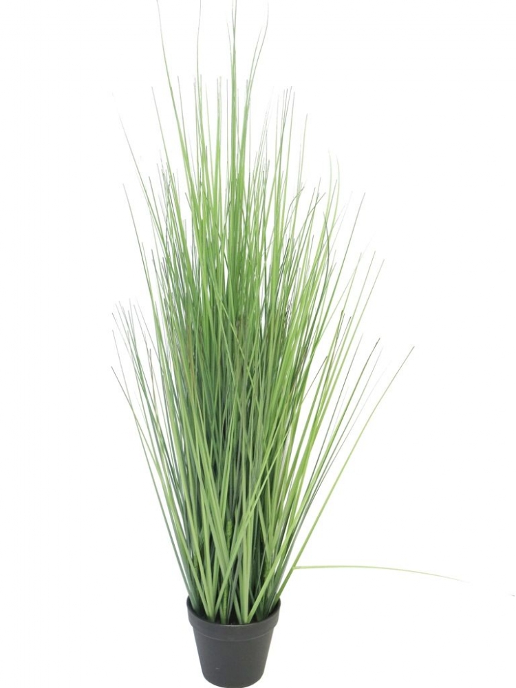 King Festuca-Gras i.Topf gruen 115cm 51617-1