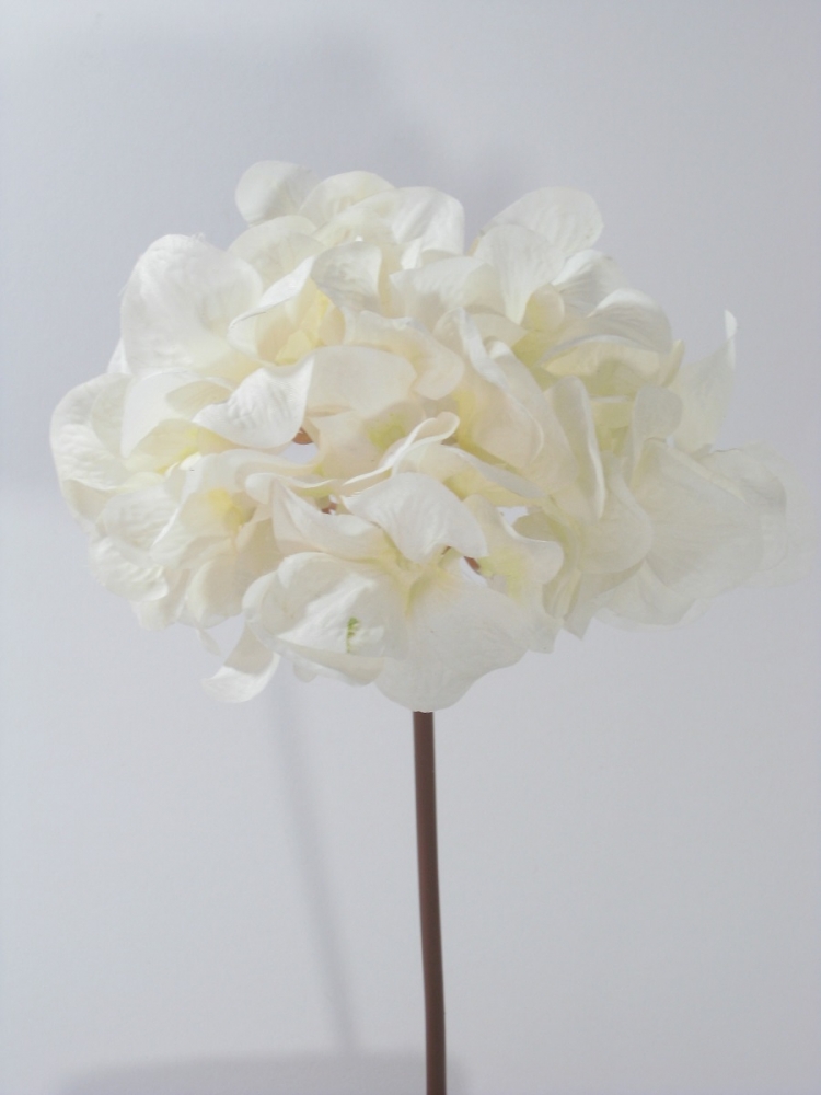 Hortensie Nicolah creme 89393-0