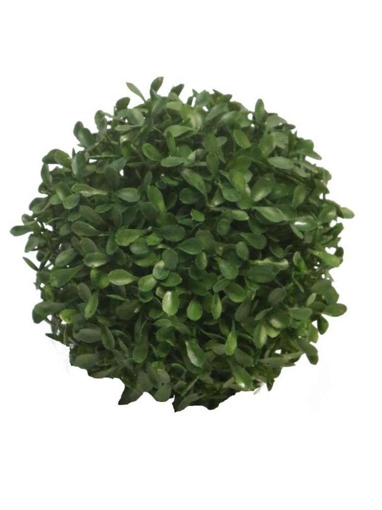 Buchsbaumkugel DM 13cm (3 Mon. UV-protected) 90950-1