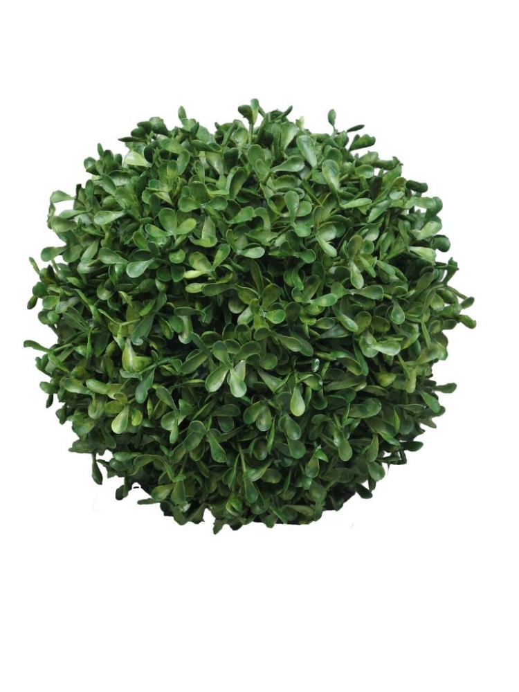 Buchsbaumkugel DM 28cm (3 Mon. UV-protected) 90951-1