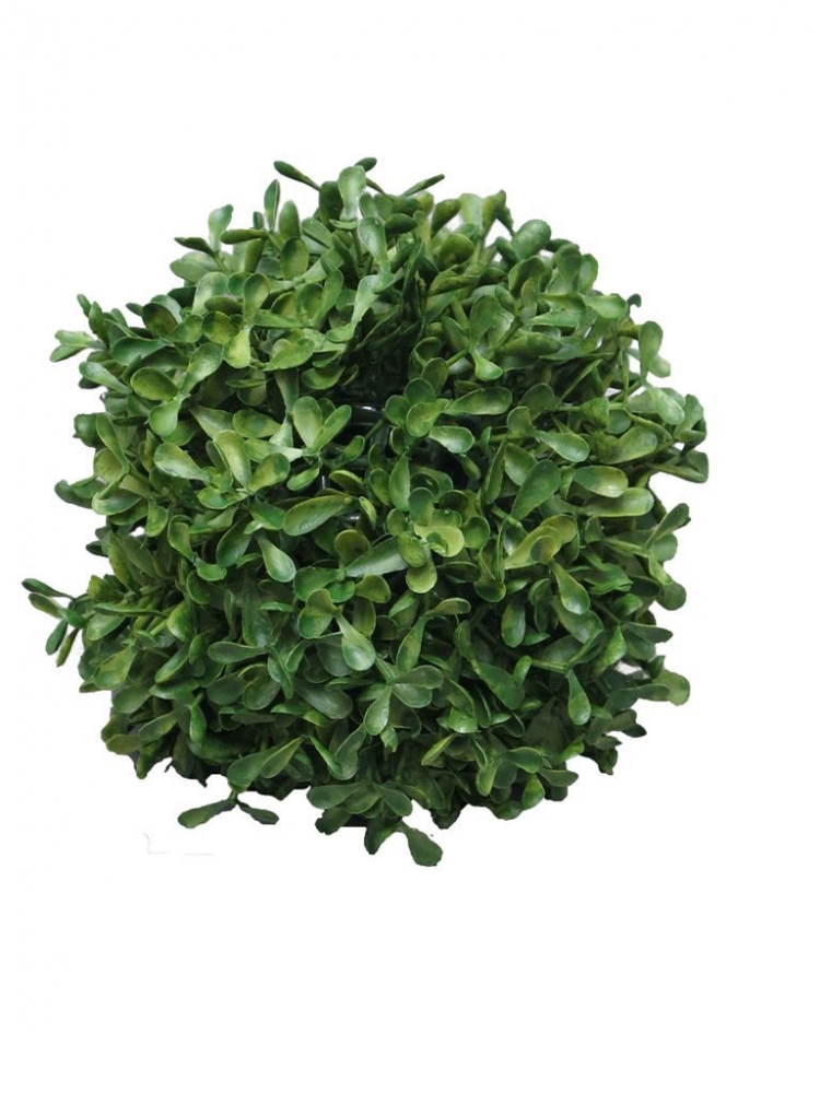 Buchsbaumkugel DM 15cm (3 Mon. UV-protected) 90960-1