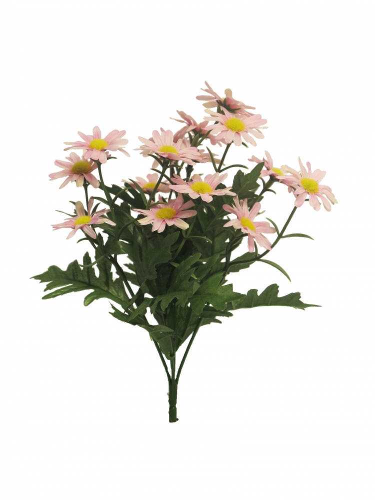 Chrysantheme Leucanthemum Busch pink 24cm 92037-7