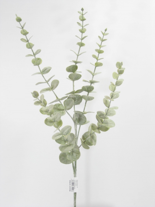 Eucalyptus-Zweig 5-fach gruen-puder ca. 70cm HA4XYD1596BGR1