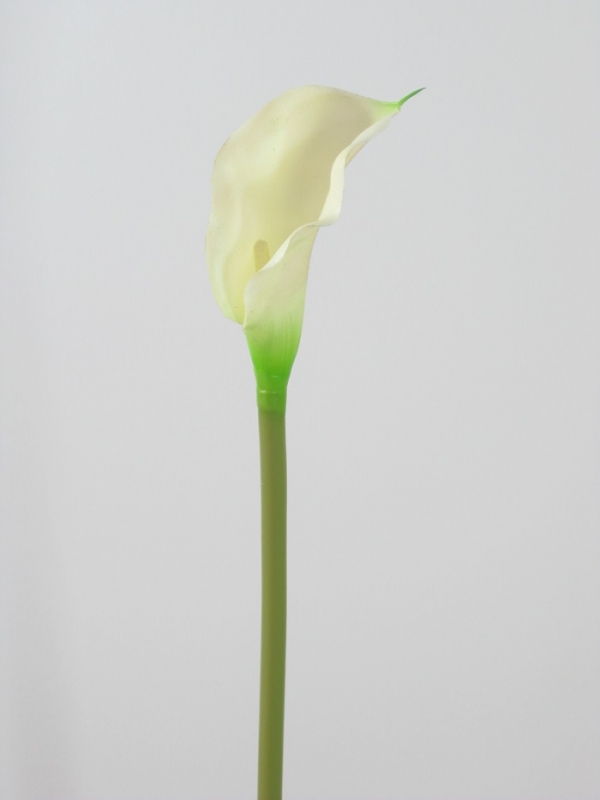 Calla 45cm creme-weiss 113710-12