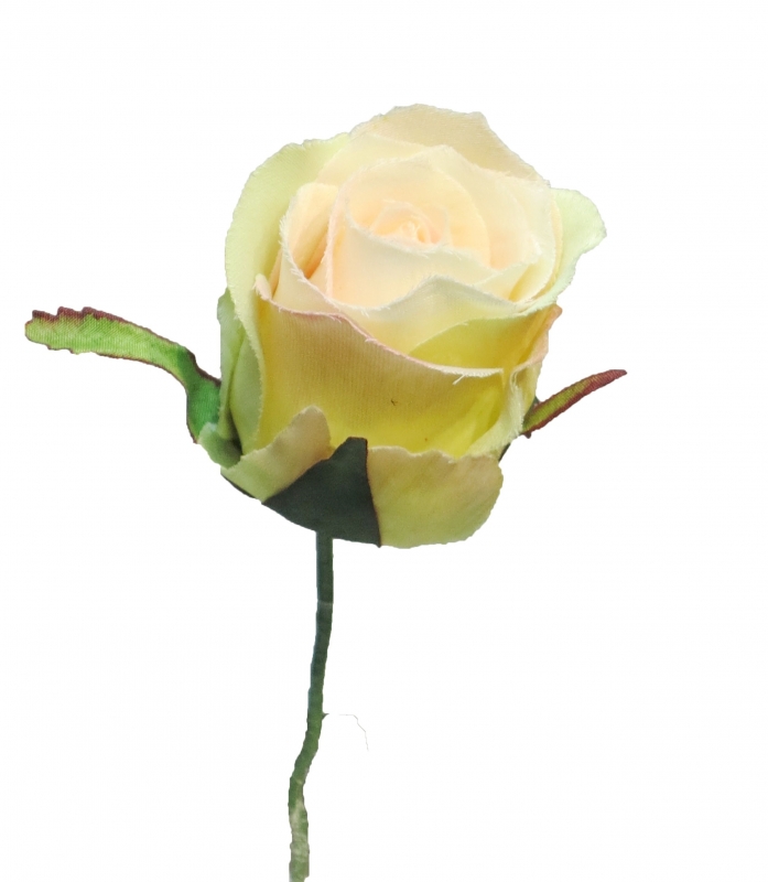 Rosenkopf-Pick 17cm champanger 11966-2