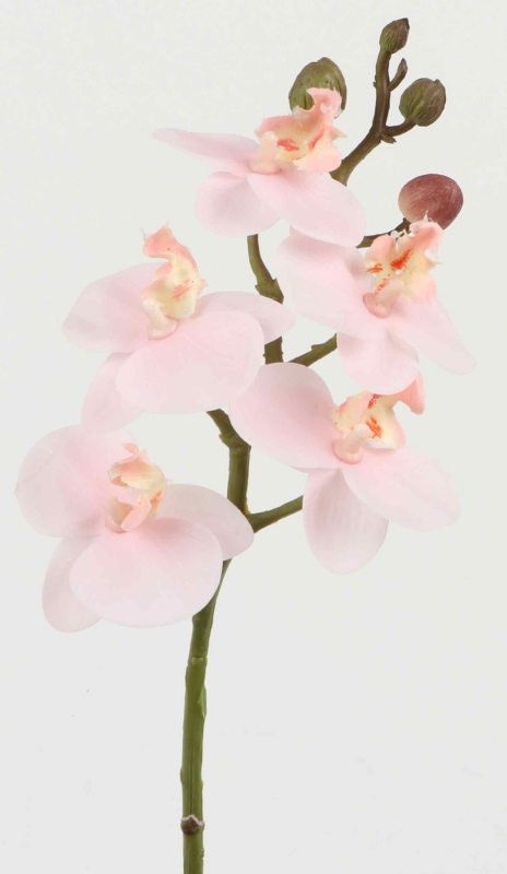 Orchideenzweig L34cm mehrtonrosa 120079-24