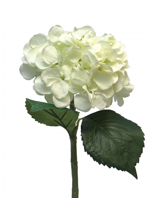 Hortensie Artist 48cm creme 12275-0