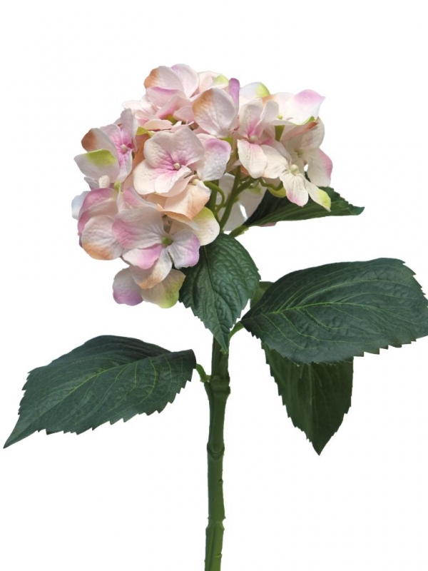 Hortensie Artist 48cm pink 12275-7