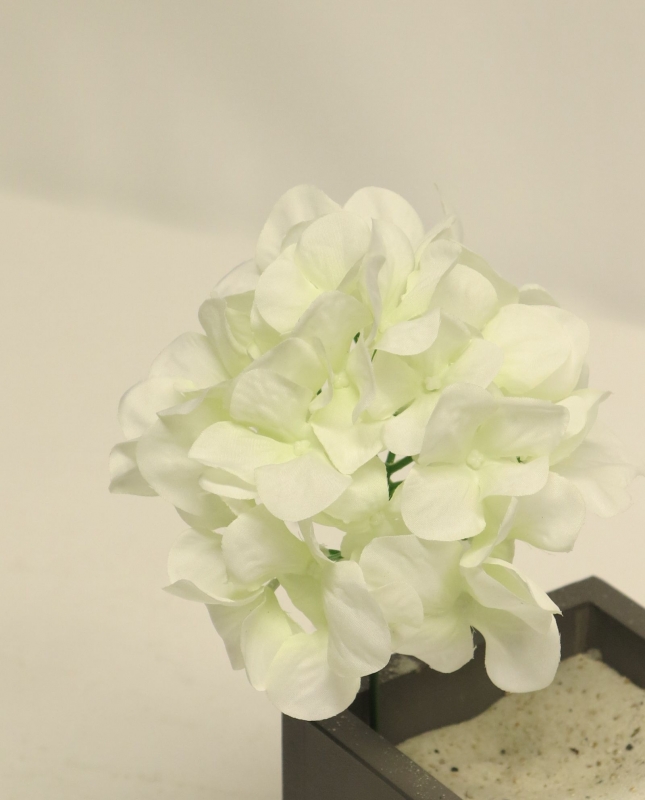 Hortensien-Pick 20cm Verenia creme 12944-0