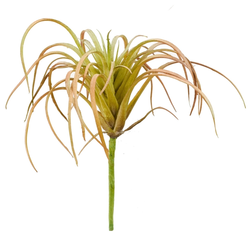 Tillandsienpick L13cm D13cm rot/gruen 238127-81