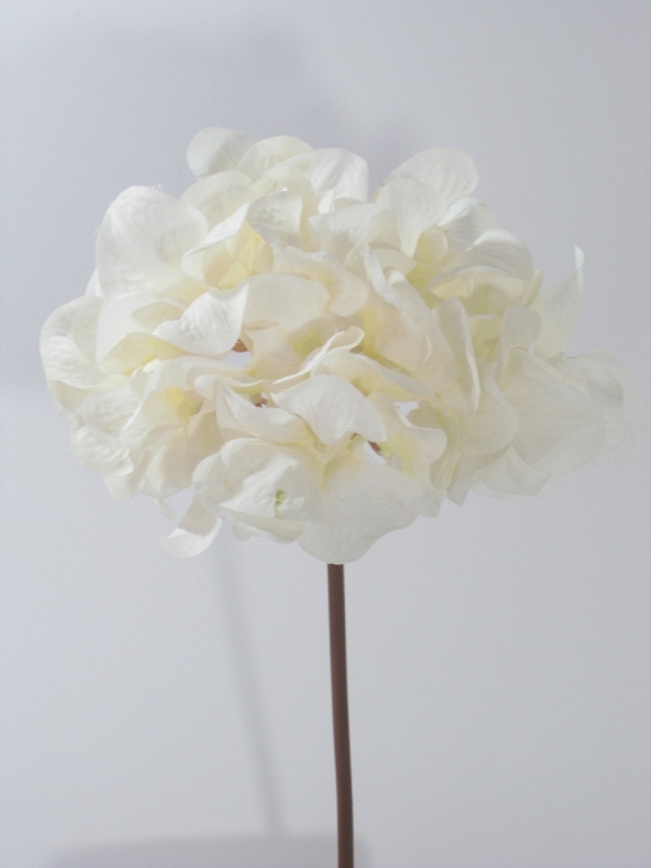 Hortensie Nicolah creme 89393-0