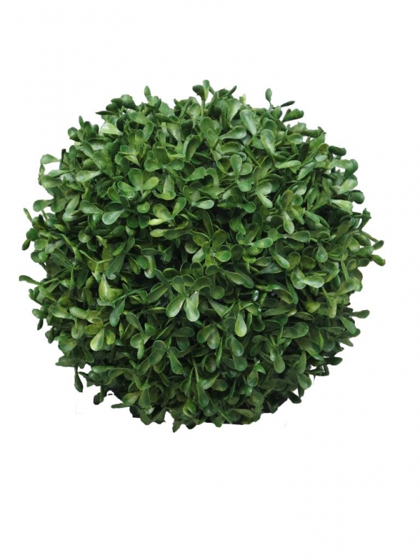 Buchsbaumkugel DM 28cm (3 Mon. UV-protected) 90951-1